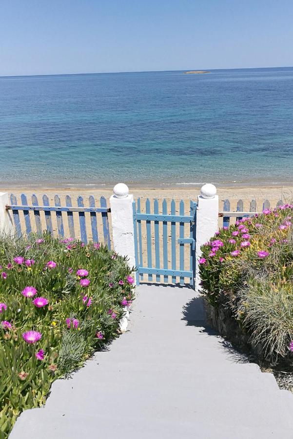 Anemos Seaside House Villa Скирос Екстериор снимка